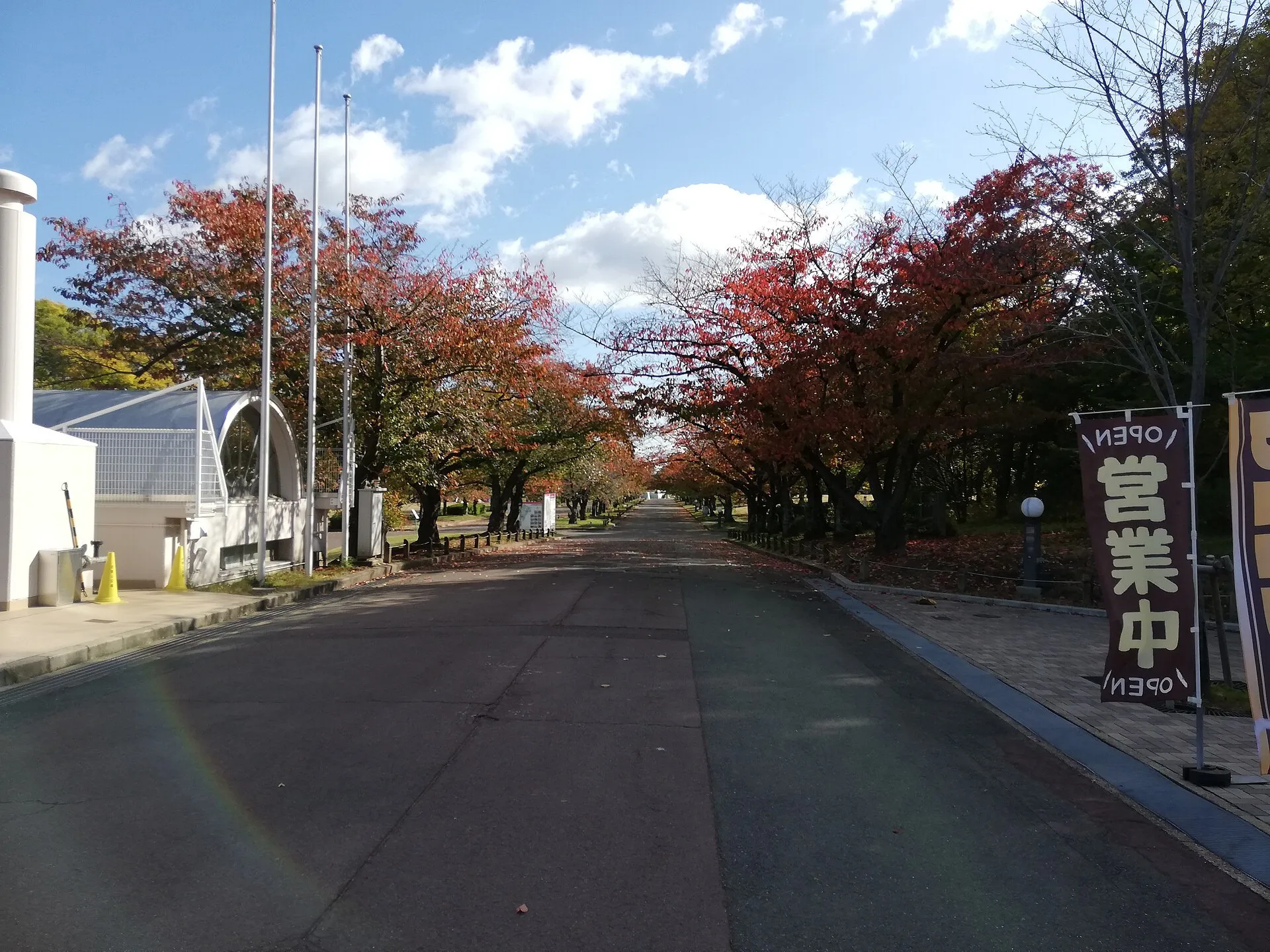 A tree-lined path in Expo ’70 Commemorative Park